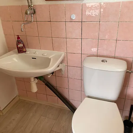 Orman Evi Nad Koupalistem *